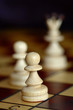 Close-up of a pawn in game