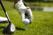 Golf club