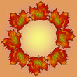autumn wreath