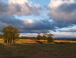 Paysage limousin 