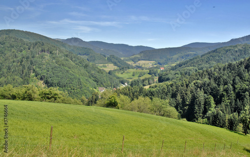 Schwarzwald Schwarzwald