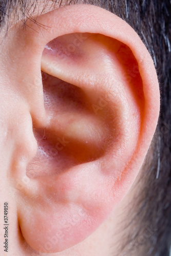 Photo: closeup of a man ear in color closeup of a man ear in color