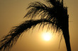 Sonnenuntergang