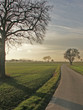 Weg