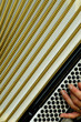 Ziehharmonika Ziehharmonika