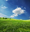 Field and clouds