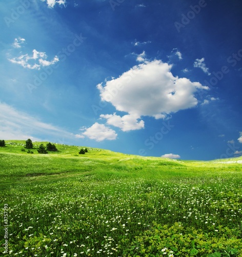 Photo: Field and clouds Field and clouds