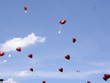 Hocheit Ballons