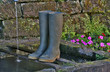 Bottes