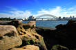 Sydney Opera House and Harbour Bridge..