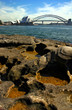 Sydney Opera House and Harbour Bridge..