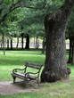 bench bench