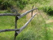 Fence in the swedish countryside