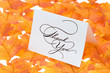Thank you card on a bright autumn background of leaves