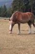 Preparing to charge