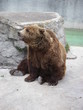 Ours