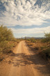 Desert Road
