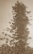 bubbles in water