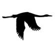 crane silhouette 
