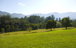 Field and mountains near Bellingen Australia