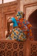 Taj Mahal life