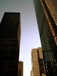 Downtown Downtown