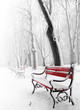 Red benches in the fog in winter Red benches in the fog in winter