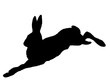Hare running