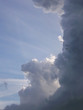 flock of birds in flight against a background of clouds