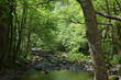 Leiza river in Leizaran Valley, Spain