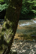 Leiza river in Leizaran Valley, Spain