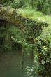 Aged Bridge and Tree with Vegatation. Leitzaran Valley. Spain