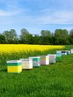 beehive