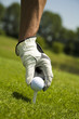 Golf club
