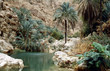 Szene im Wadi Shab