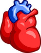 Vector: Human Heart Human Heart