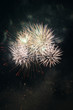 much flashes to form miscellaneous and colour in the night