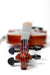 A beautiful violin on a white background.