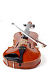 A beautiful violin on a white background.