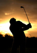 Images : morning golf 04