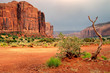 Monument Valley tribal park Utah