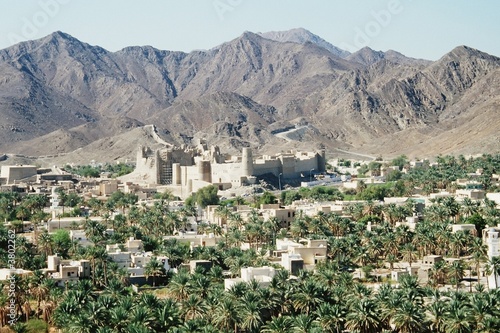 Foto: Oase im Oman Oase im Oman