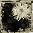 Black Tan Texture Floral