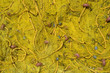 Top view of a fishnet (for background purposes) Top view of a fishnet (for background purposes)
