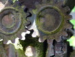 Close Up Of Rusted Gear Close Up Of Rusted Gear
