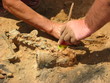 archaeologists at work