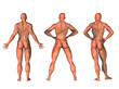 three 3d fitness figures  in different poses