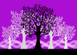 Forest Background