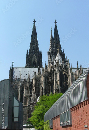 dom dom