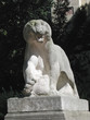 lille 11
